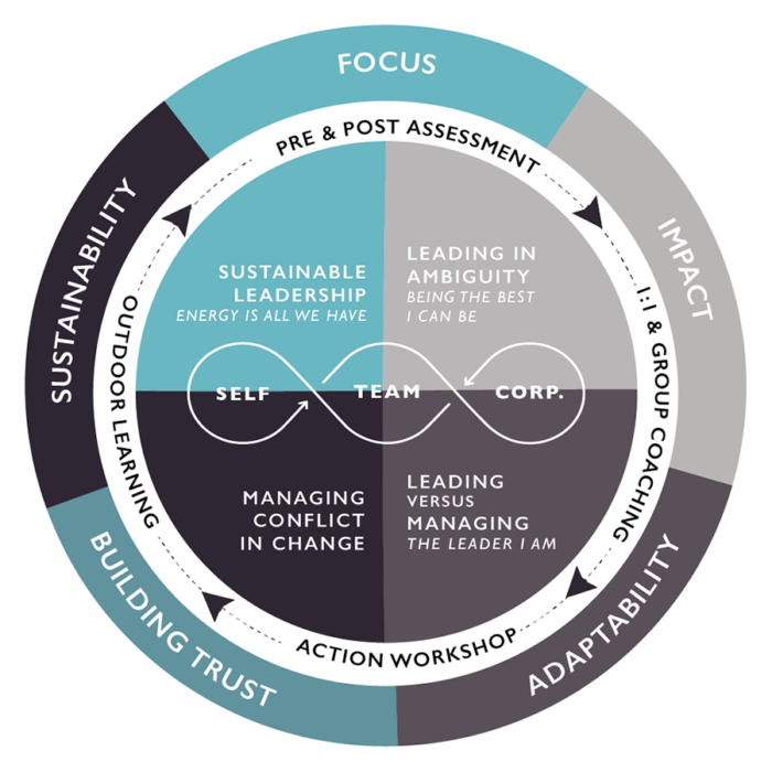 Escentia Team Coaching Journeys | Escentia Empowering Leaders to Lead with Intention